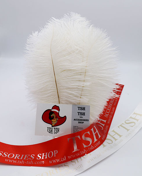 ขนนกกระจอกเทศแบบก้านขนาดเล็ก (20-25 ซม.) สีขาว