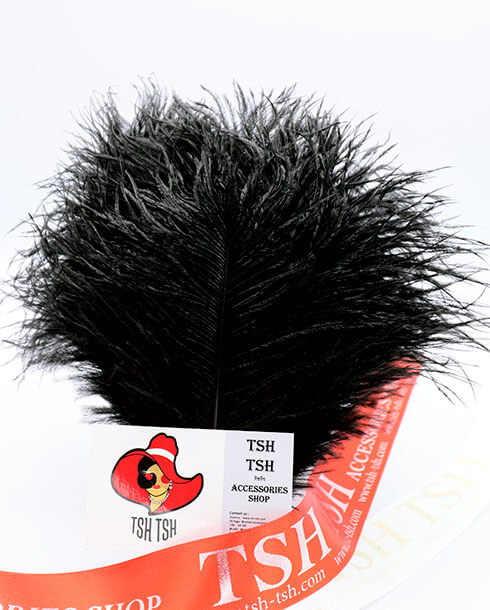 ขนนกกระจอกเทศแบบก้านขนาดเล็ก (20-25 ซม.) สีดำ