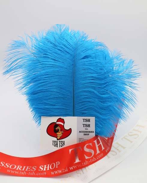 ขนนกกระจอกเทศแบบก้านขนาดเล็ก (20-25 ซม.) สีฟ้าน้ำทะเล