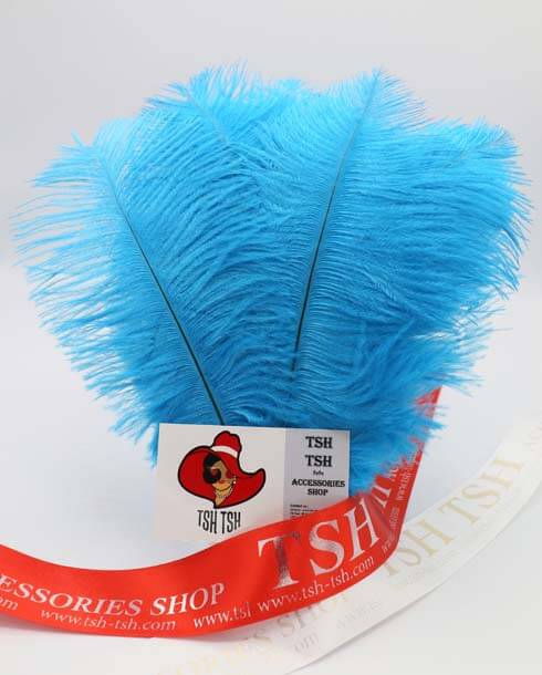 Ostrich plumes, ostrich drabs Size 25-30 cm. (Medium Size) Ocean Blue Color