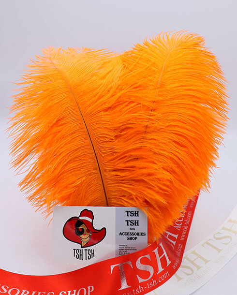 Ostrich plumes, ostrich drabs Size 20-25 cm. (Medium Size) Orange Color
