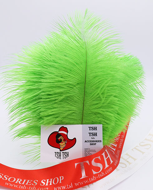 Ostrich plumes, ostrich drabs Size 20-25 cm. (Medium Size) Light Green Color