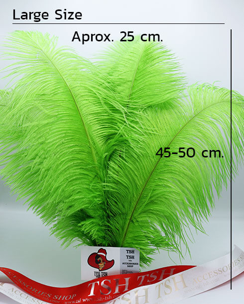 ขนนกกระจอกเทศ, ขนนกก้าน, ขนตกแต่ง, ชุดแต่งงาน, เครื่องแต่งกาย, DIY, ประดับแจกัน, ตกแต่งบ้าน, ตกแต่งสถานที่, จัดงานแต่งงาน, ปาตี้, งานรื่นเริง, เทศกาล, แต่งหมวก, แต่งกระเป๋า, แต่งรองเท้า, เครื่องประดับ